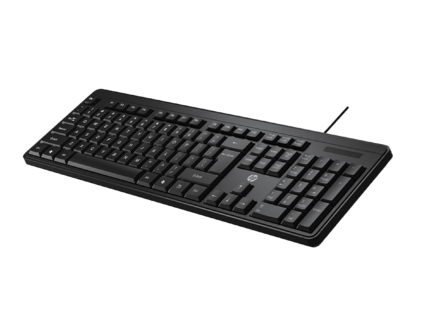 HP K100 Wired Keyboard