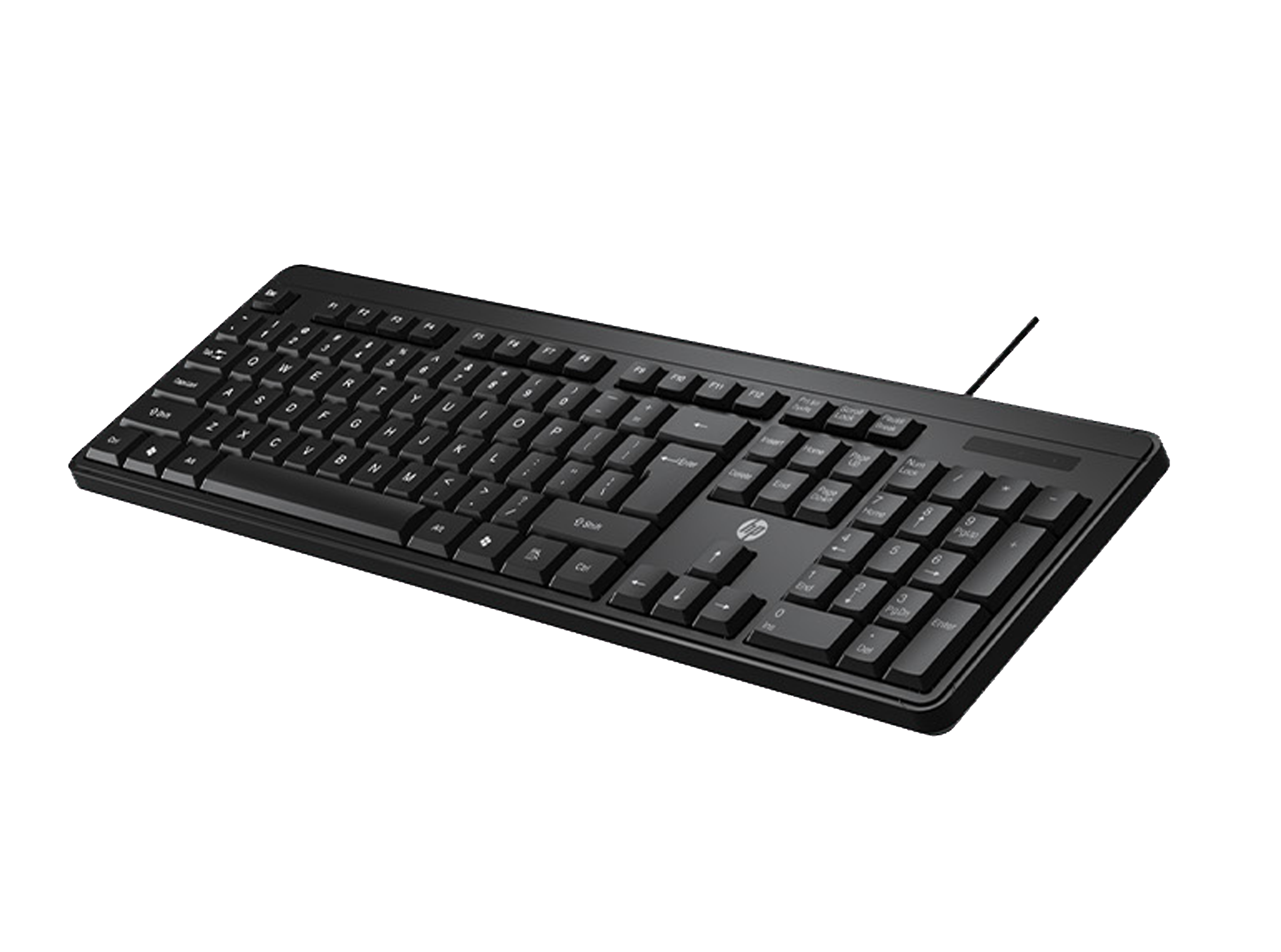 HP K100 Wired Keyboard